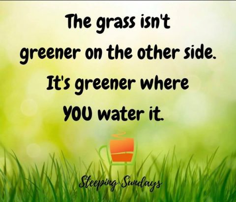 The Grass Isn’t Greener on the Other Side | Steeping Wellness